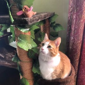 Meet your Posher, Tasha